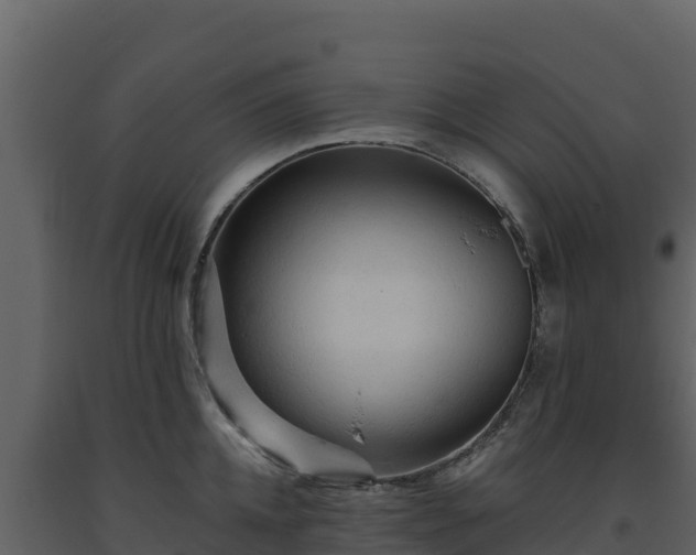 X0000093470952200710191142