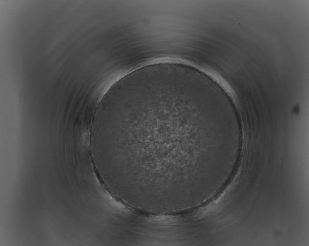 X0000093470953200710191142