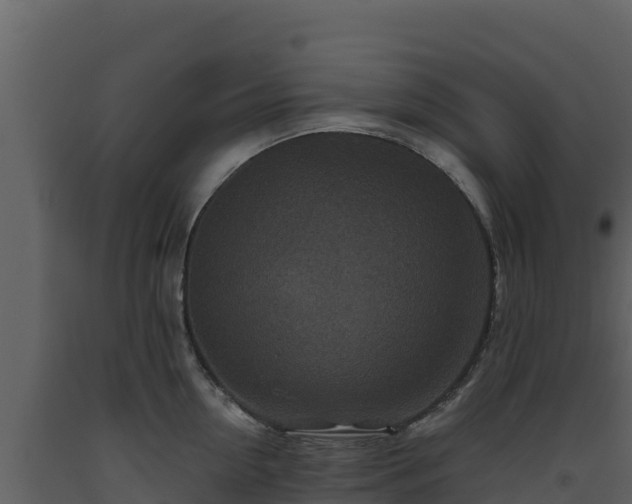 X0000093470954200710191142