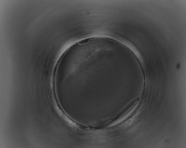 X0000093470958200710191142