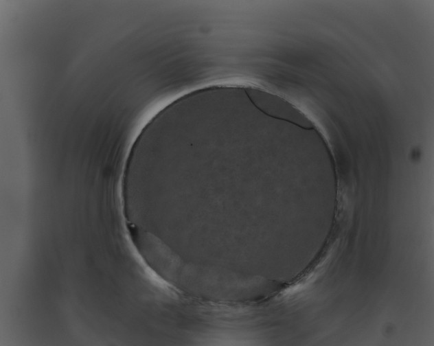 X0000093470959200710191142