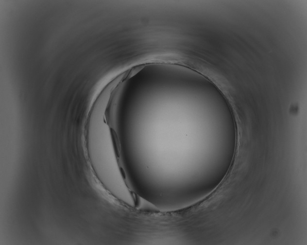 X0000093470960200710191142