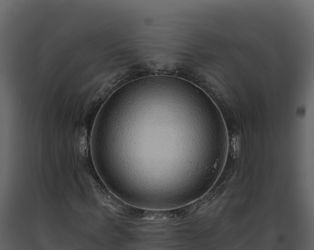 X0000093470963200710191142