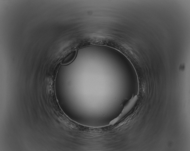 X0000093470964200710191142