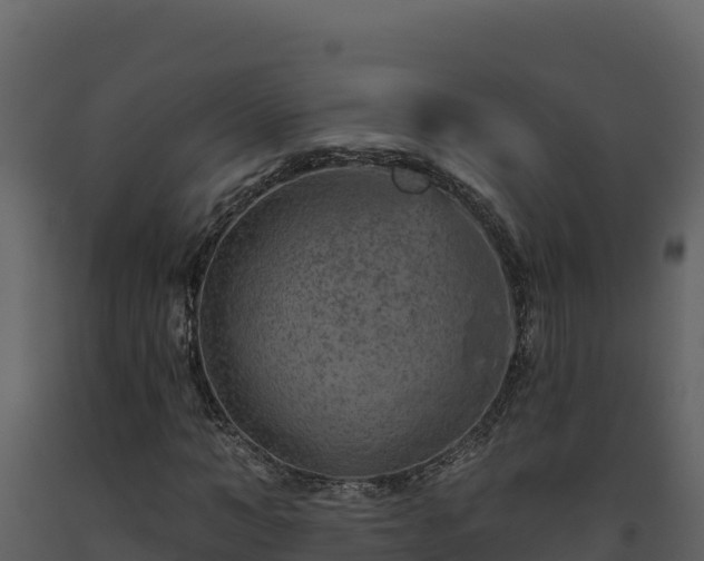 X0000093470966200710191142