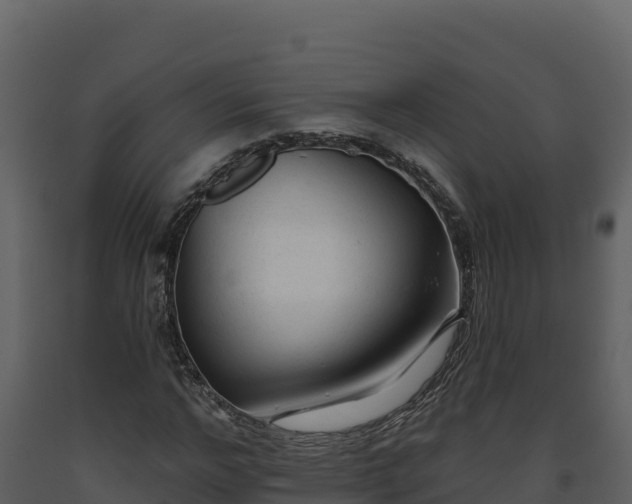 X0000093470968200710191142