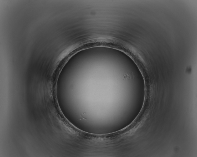 X0000093470970200710191142