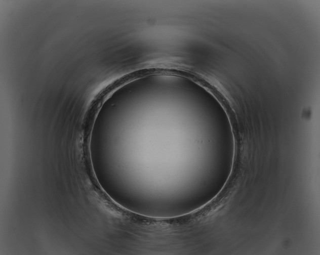 X0000093470971200710191142