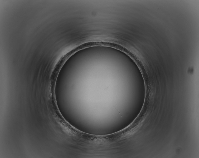 X0000093470974200710191141