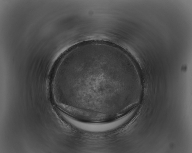 X0000093470975200710191141