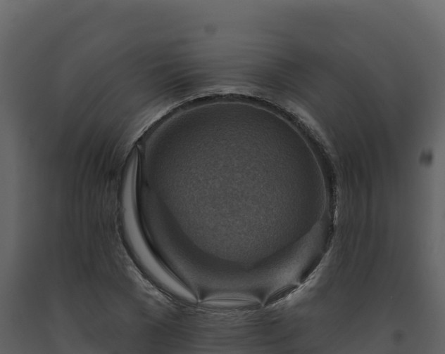 X0000093470977200710191141