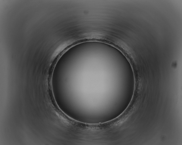 X0000093470978200710191141