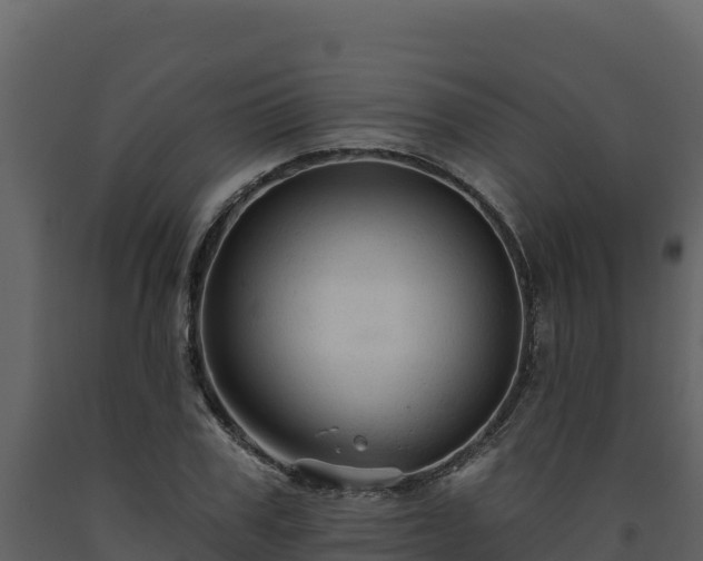 X0000093470979200710191141