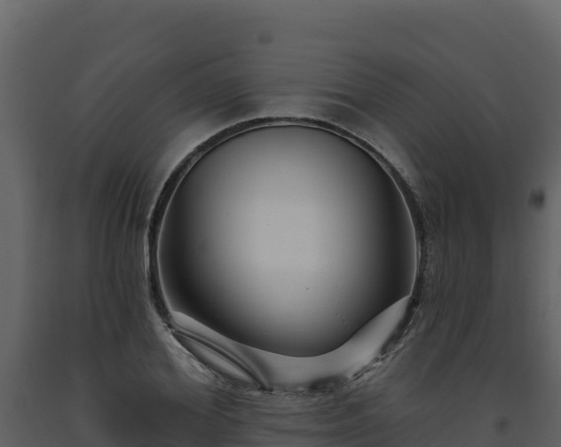 X0000093470980200710191141