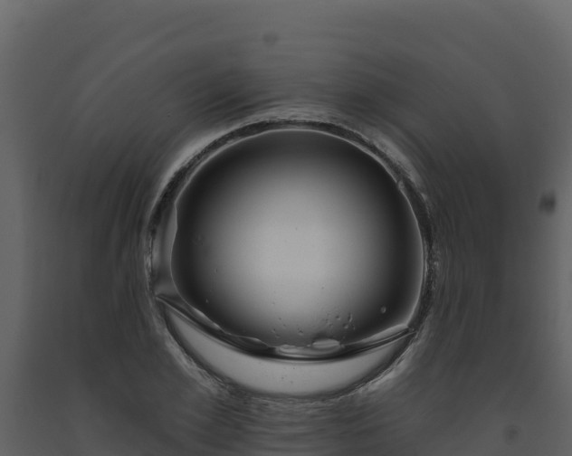 X0000093470981200710191141