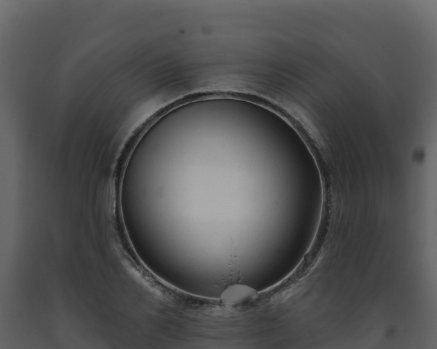 X0000093470982200710191141