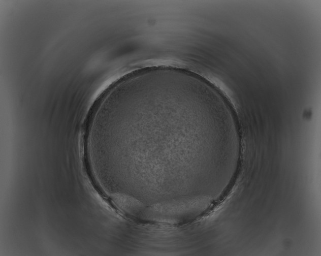 X0000093470983200710191141