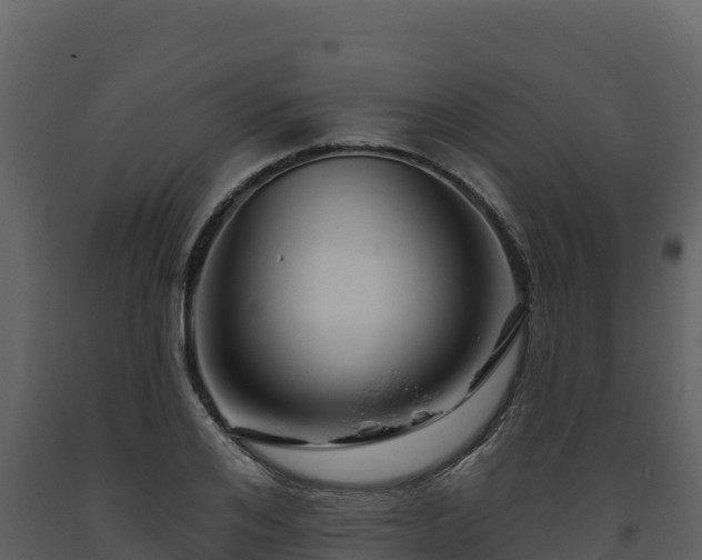 X0000093470984200710191141