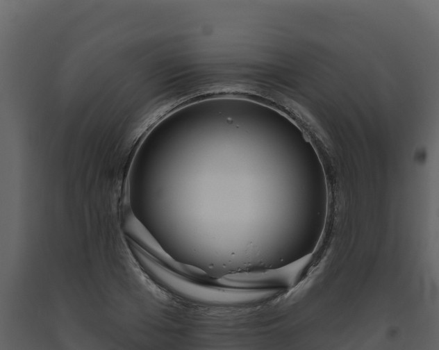 X0000093470985200710191141