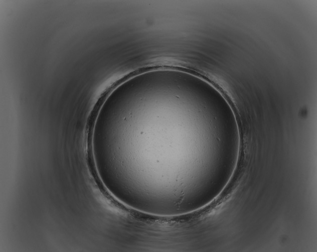 X0000093470987200710191141