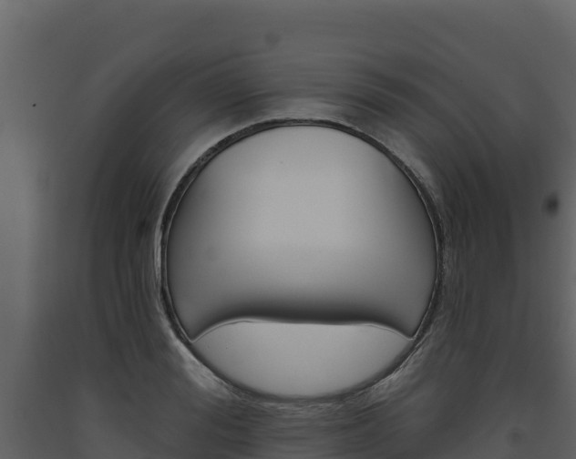 X0000093470988200710191141