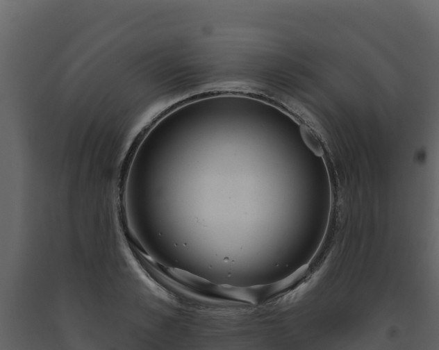 X0000093470989200710191141