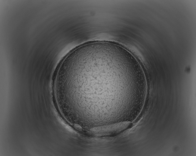 X0000093470990200710191141