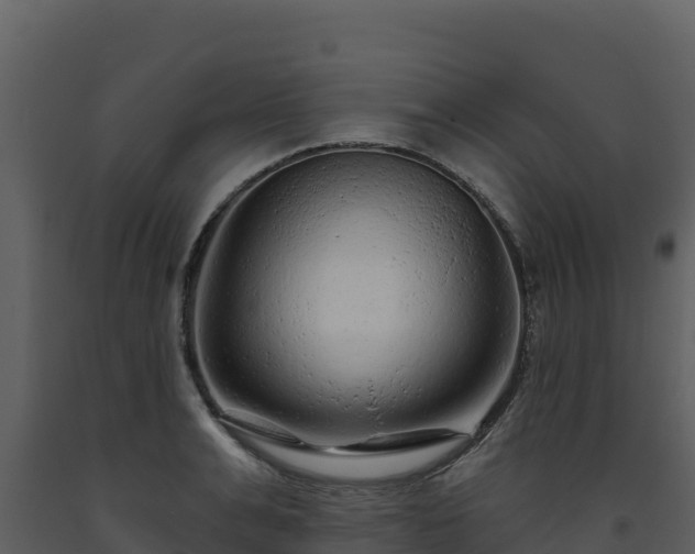 X0000093470991200710191141