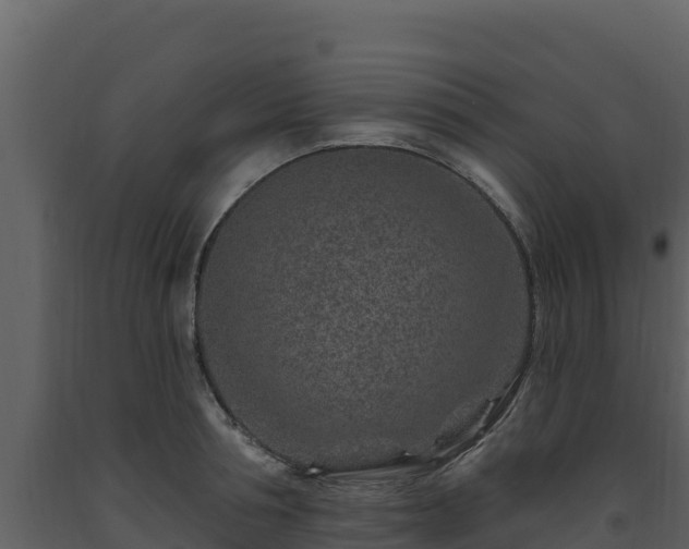 X0000093470994200710191141