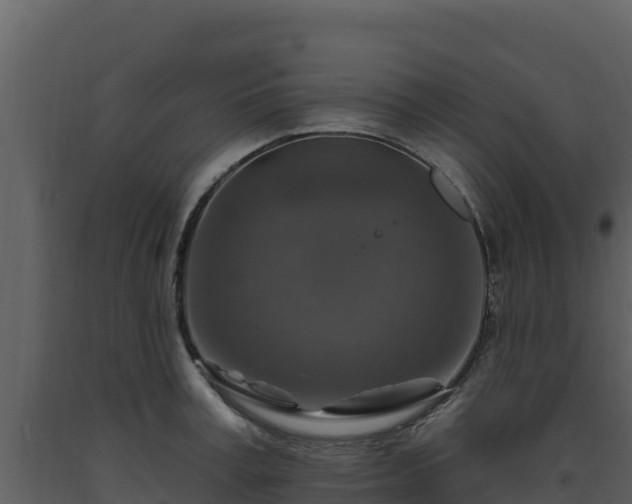 X0000093470995200710191141