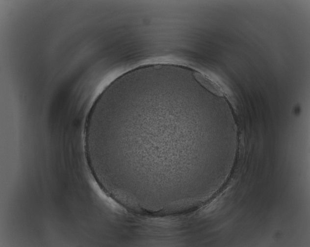 X0000093470998200710191141