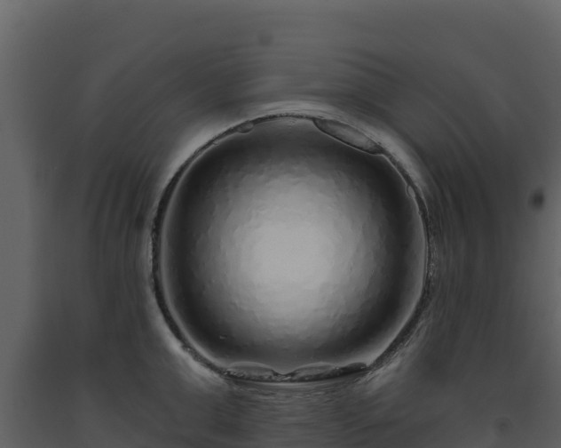 X0000093470999200710191141