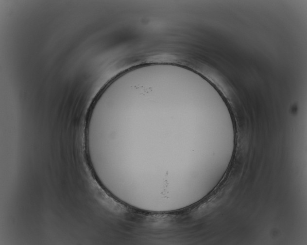 X0000093471000200710191141