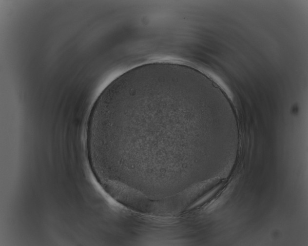 X0000093471007200710191141