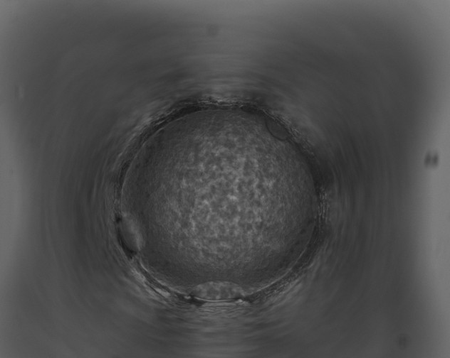 X0000093471009200710191140