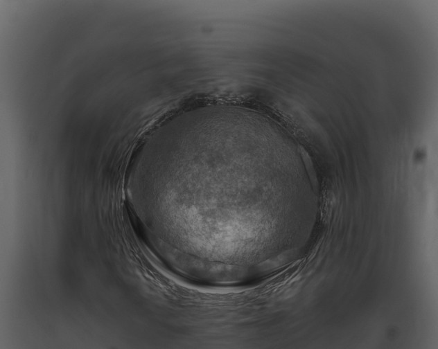 X0000093471010200710191140