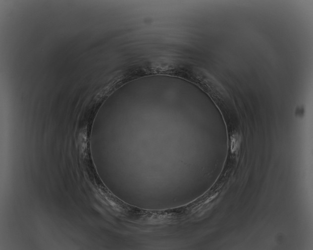 X0000093471011200710191140