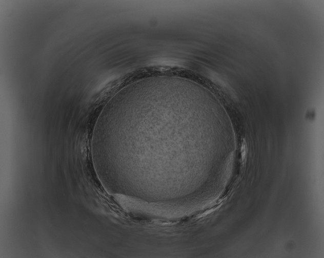 X0000093471014200710191140