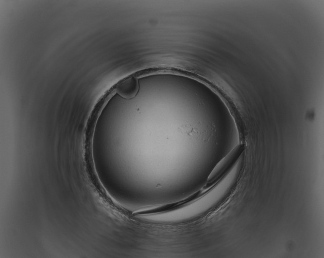 X0000093471020200710191140