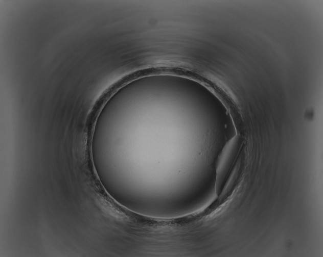 X0000093471021200710191140