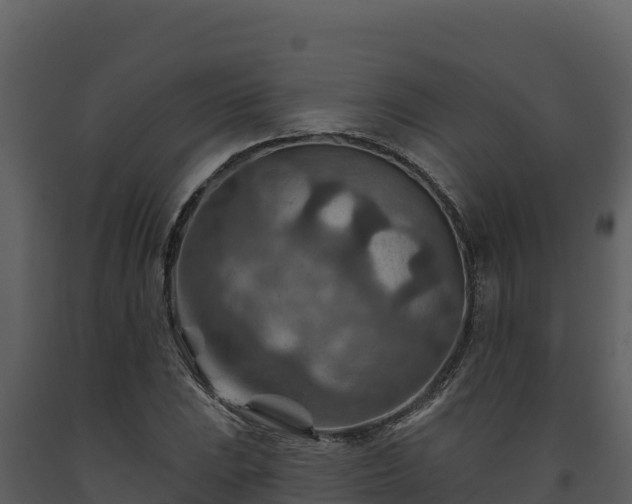 X0000093471023200710191140