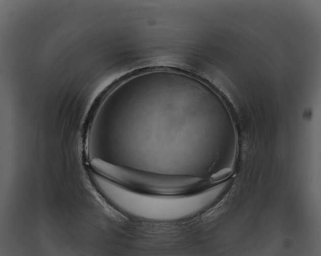 X0000093471024200710191140