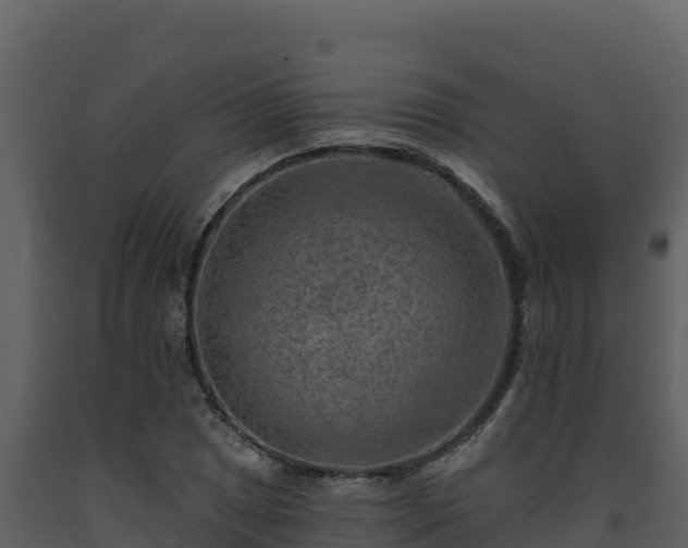 X0000093471025200710191140