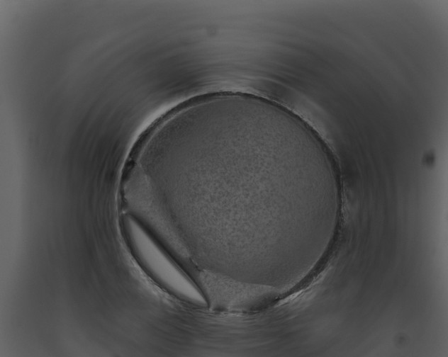 X0000093471028200710191140