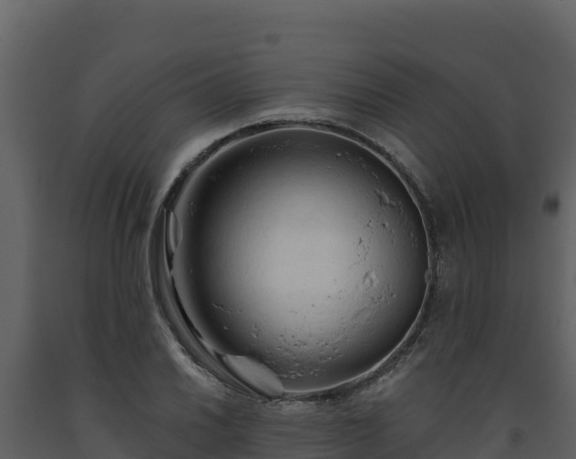 X0000093471030200710191140