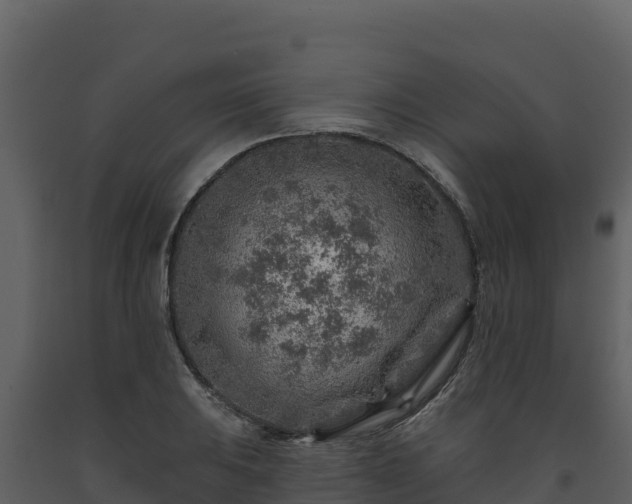 X0000093471031200710191140