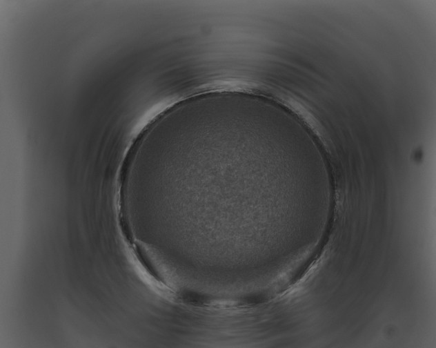 X0000093471034200710191141