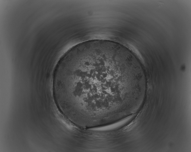 X0000093471035200710191141