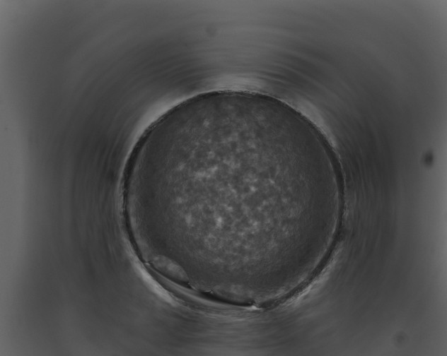 X0000093471037200710191141