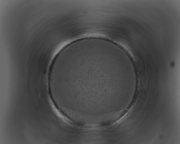 X0000093471038200710191141